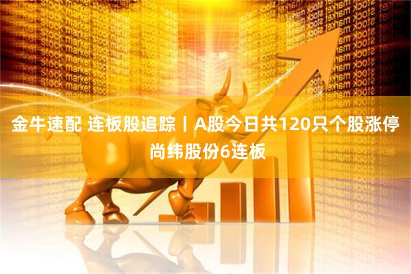 金牛速配 连板股追踪丨A股今日共120只个股涨停 尚纬股份6连板