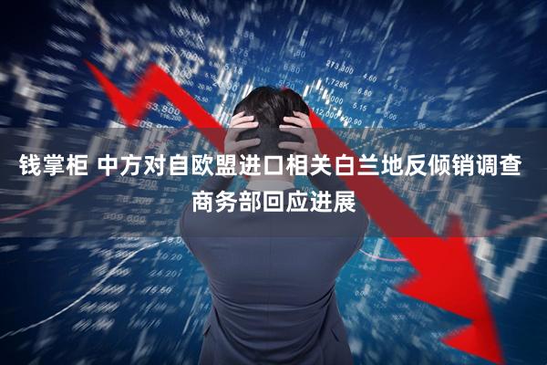 钱掌柜 中方对自欧盟进口相关白兰地反倾销调查 商务部回应进展
