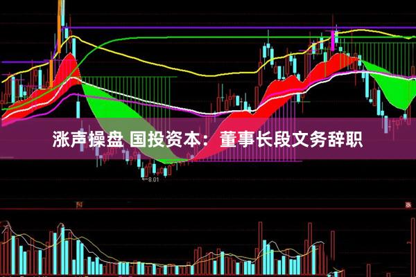 涨声操盘 国投资本：董事长段文务辞职