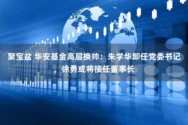 聚宝盆 华安基金高层换帅：朱学华卸任党委书记，徐勇或将接任董事长