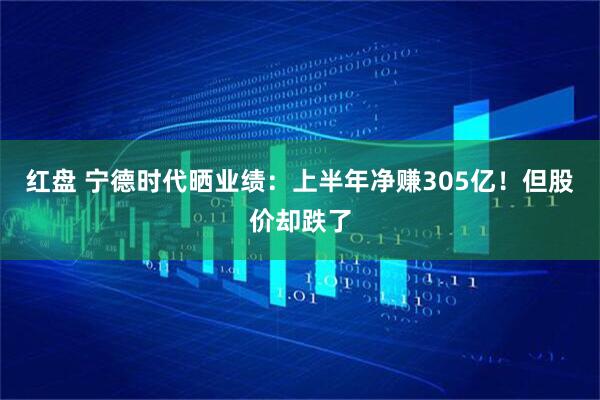 红盘 宁德时代晒业绩：上半年净赚305亿！但股价却跌了