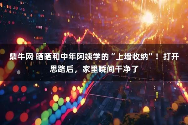 鼎牛网 晒晒和中年阿姨学的“上墙收纳”！打开思路后，家里瞬间干净了