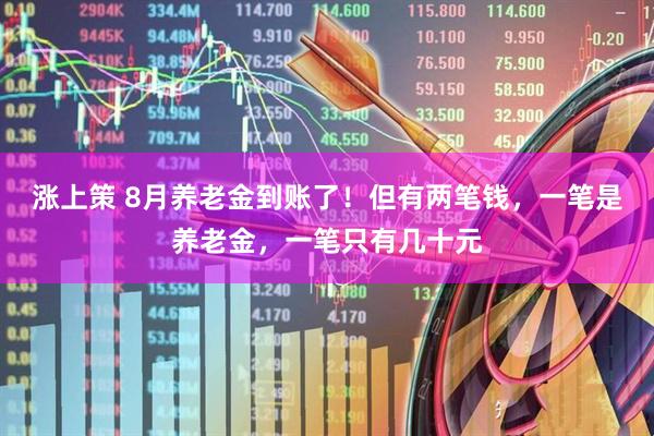 涨上策 8月养老金到账了！但有两笔钱，一笔是养老金，一笔只有几十元