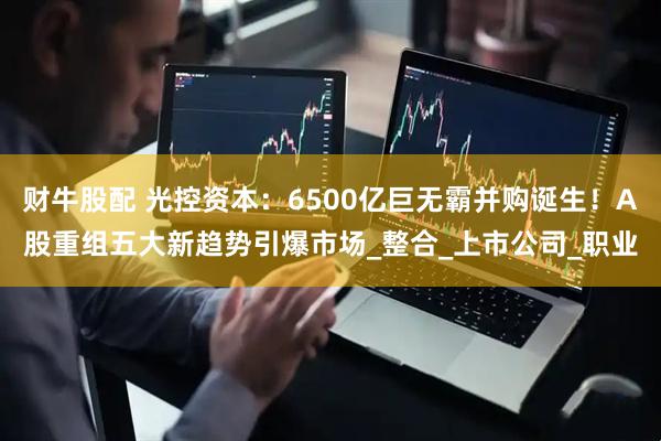 财牛股配 光控资本：6500亿巨无霸并购诞生！A股重组五大新趋势引爆市场_整合_上市公司_职业
