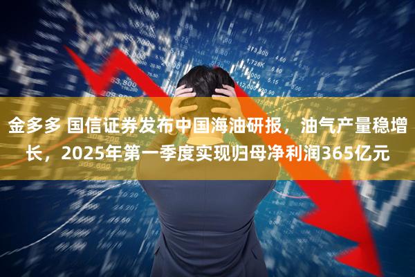 金多多 国信证券发布中国海油研报，油气产量稳增长，2025年第一季度实现归母净利润365亿元